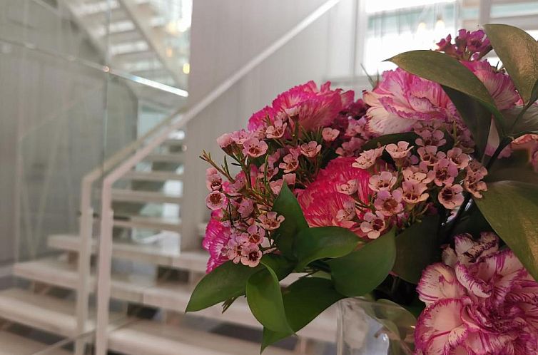 Hotel Boutique Caireles