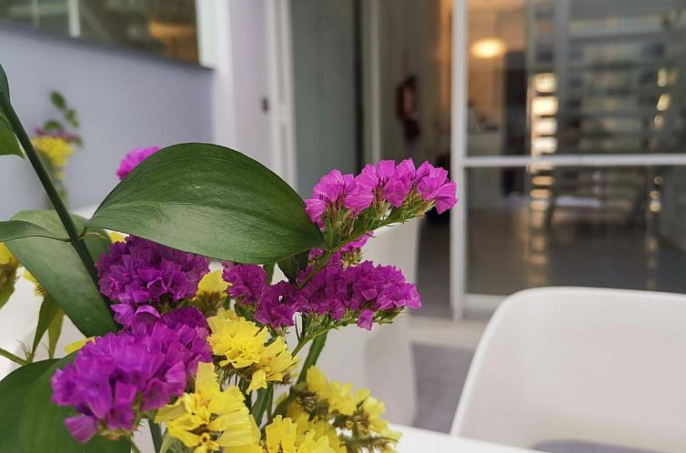 Hotel Boutique Caireles