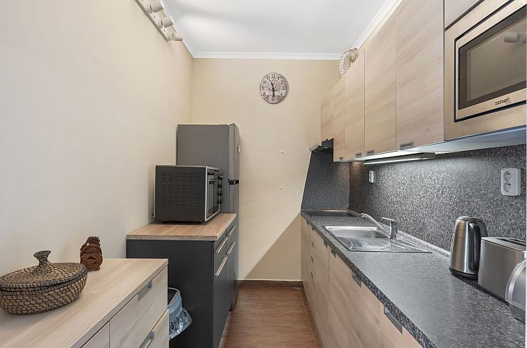 Appartement Resident Harrachov B