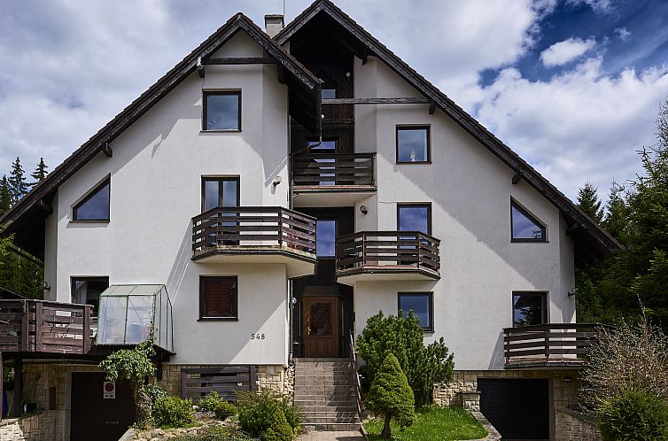 Appartement Mountain Duplex & Balcony