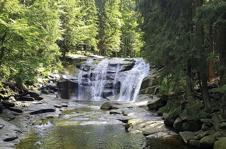 Appartement Duplex Mountain Base