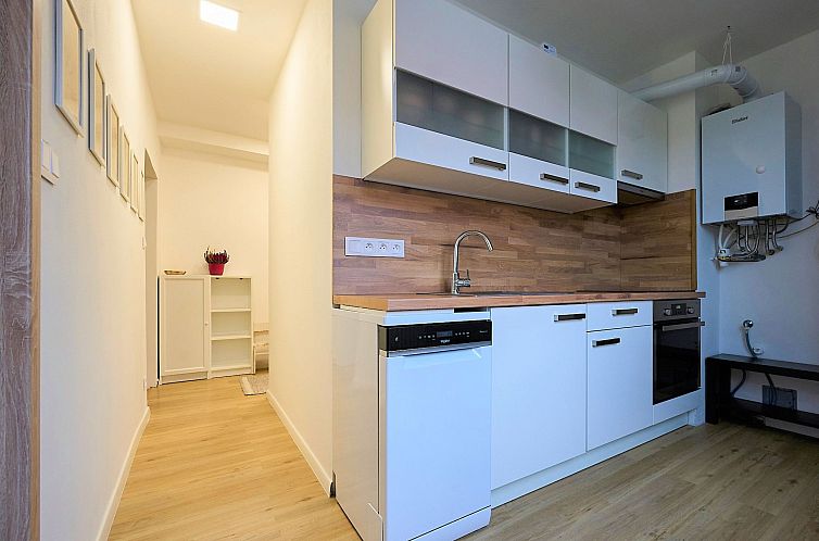 Appartement Harrachov 377