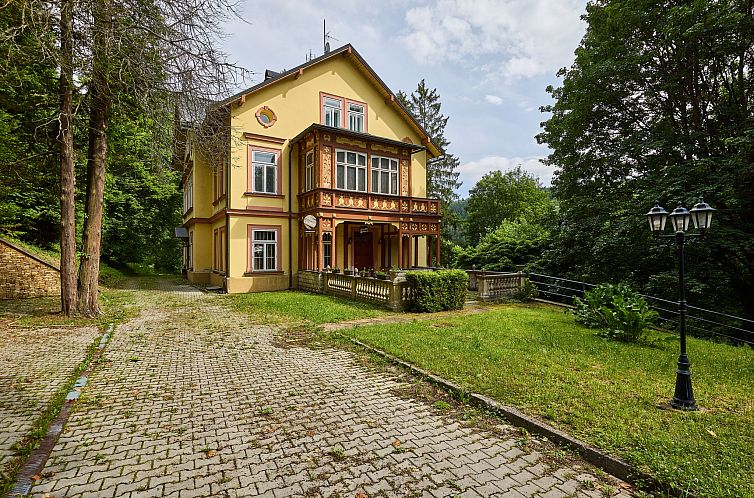 Unterkunft 16524020 - Appartement Riesengebirge - Appartement Villa Belvedere