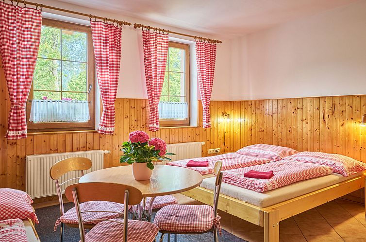 Unterkunft 16524037 - Appartement Riesengebirge - Appartement U Švýcarského dvora I