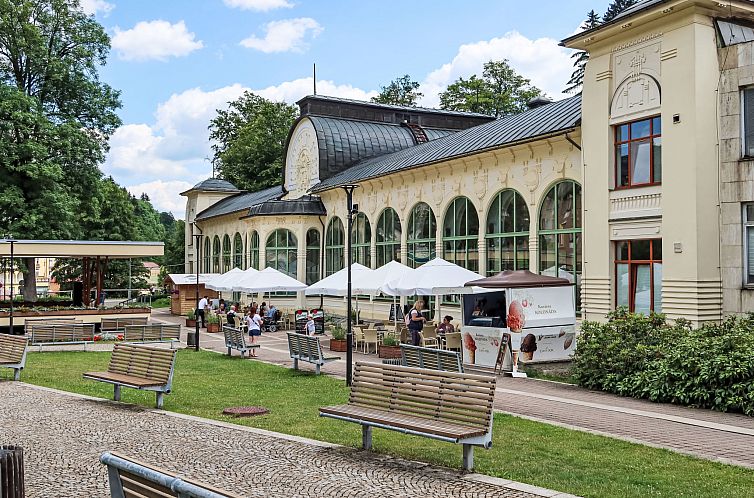 Appartement U Švýcarského dvora II