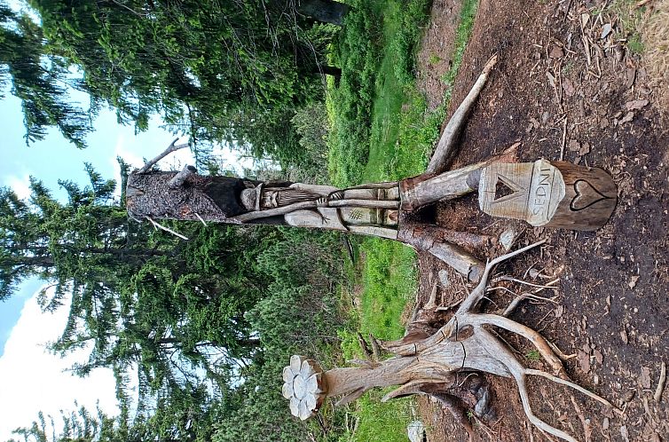 Appartement Ski&Bike Siréna