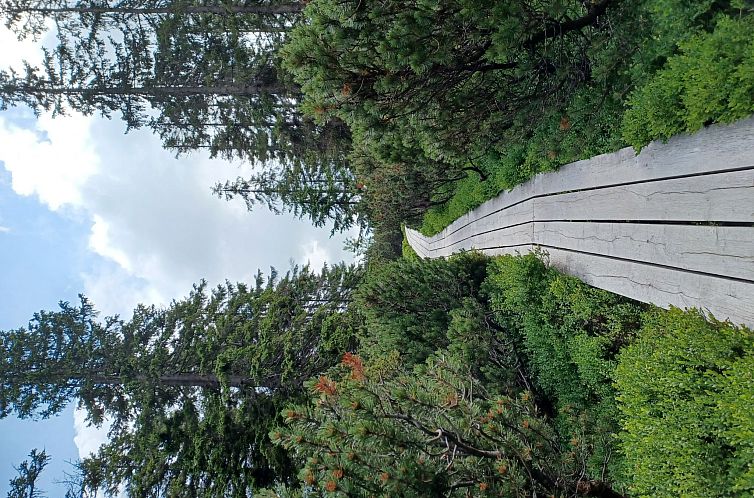 Appartement Ski&Bike Siréna