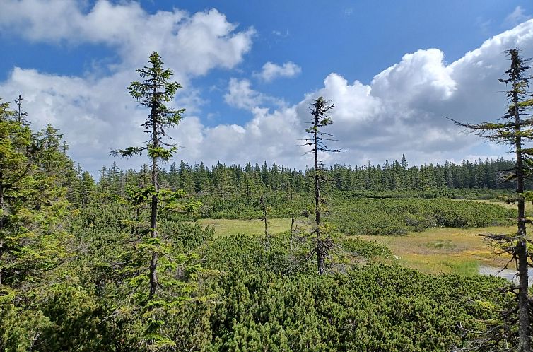 Appartement Ski&Bike Siréna