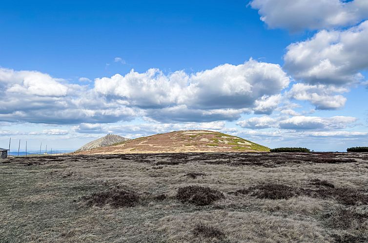 Appartement Charming Mountain Oasis