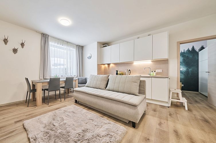 Appartement Černý Důl