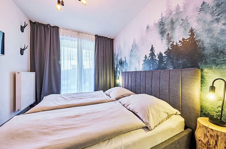 Appartement Černý Důl