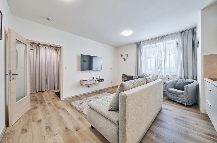 Appartement Černý Důl