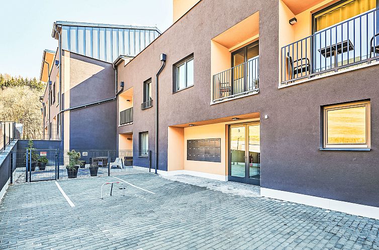 Appartement Černý Důl
