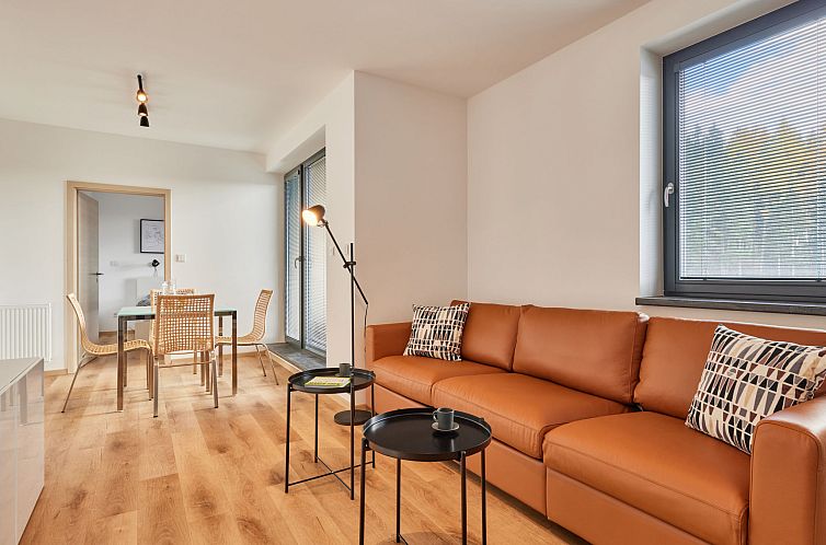 Appartement Černý Důl