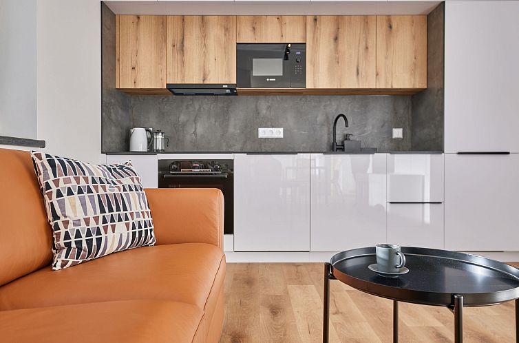 Appartement Černý Důl