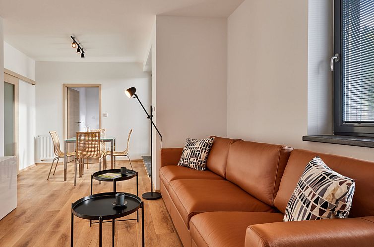 Appartement Černý Důl