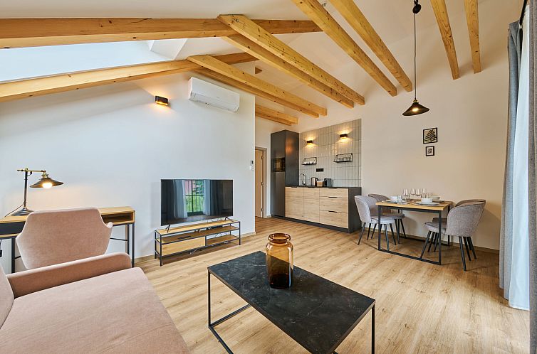 Appartement Luxury Mountain Attic with AC & Netflix