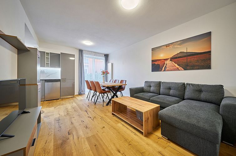 Guest house 16534204 - Apartment Giant Mountains - Appartement Trendy Mountain Terrace Retreat