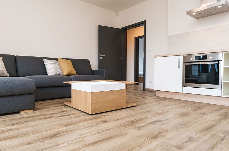 Appartement Simba Klínovec