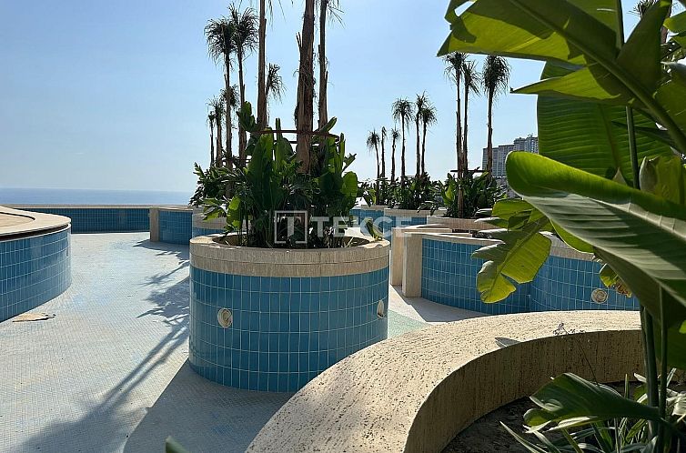 Appartement in Alanya