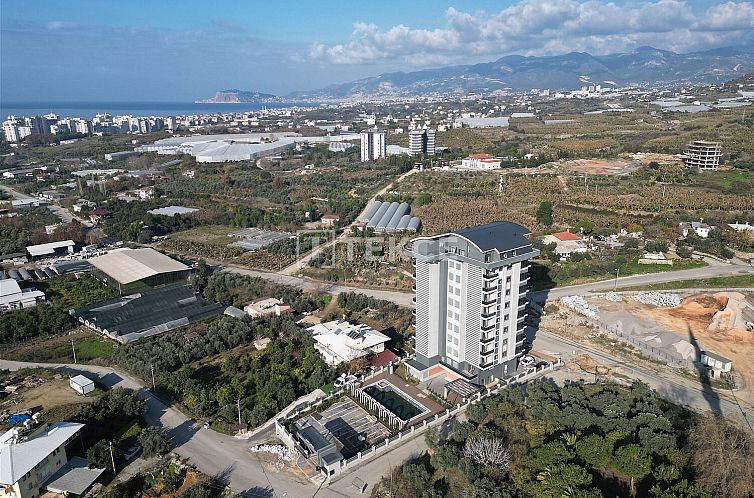 Unterkunft 16612304 - Appartement Mittelmeerregion - Appartement in Alanya