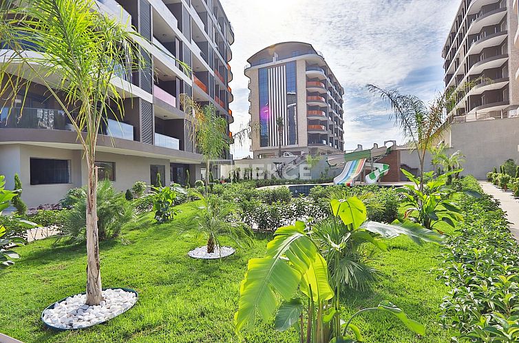 Guest house 16612421 - Apartment Mediterranean region - Appartement in Alanya