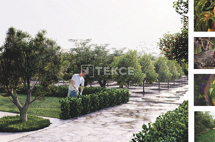 Vrijstaande woning in Urla