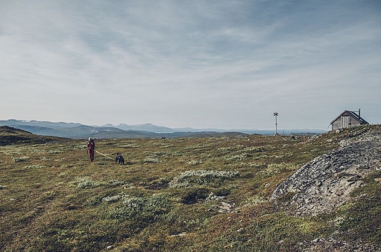 Appartement Trillevallen 3