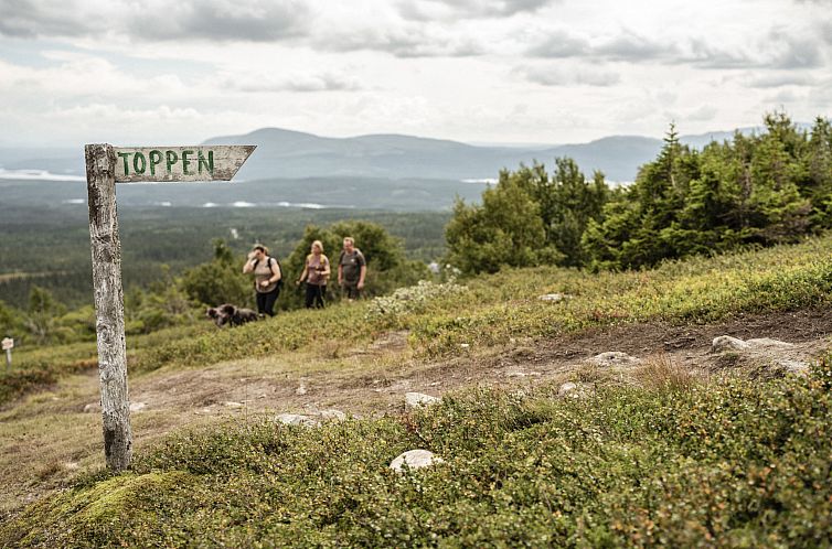 Appartement Trillevallen 3