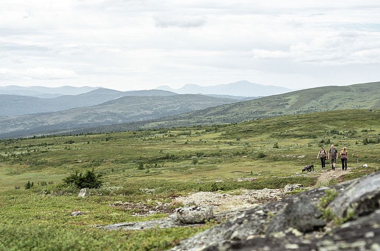 Appartement Trillevallen 5