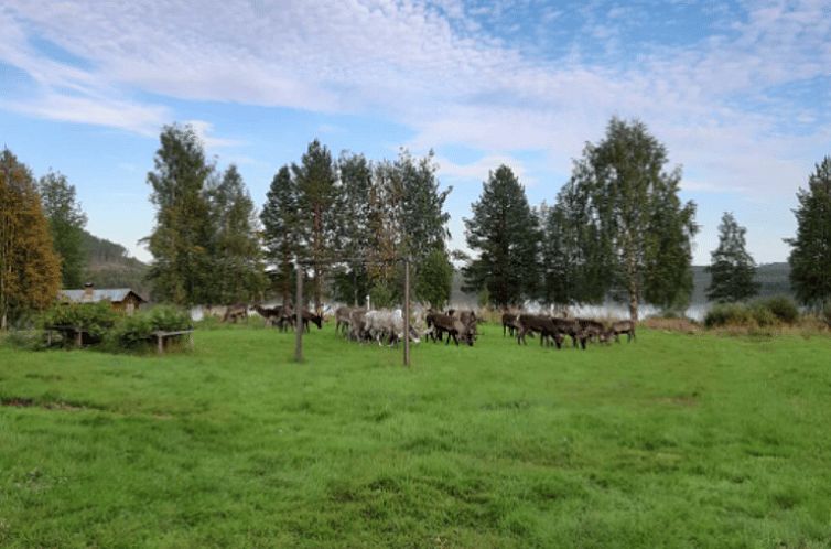 Vakantiehuis in Moskosel