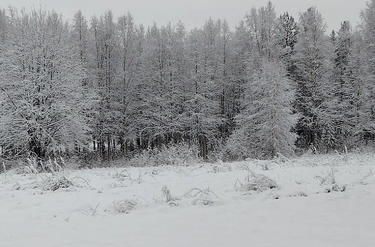 Vakantiehuis in Moskosel