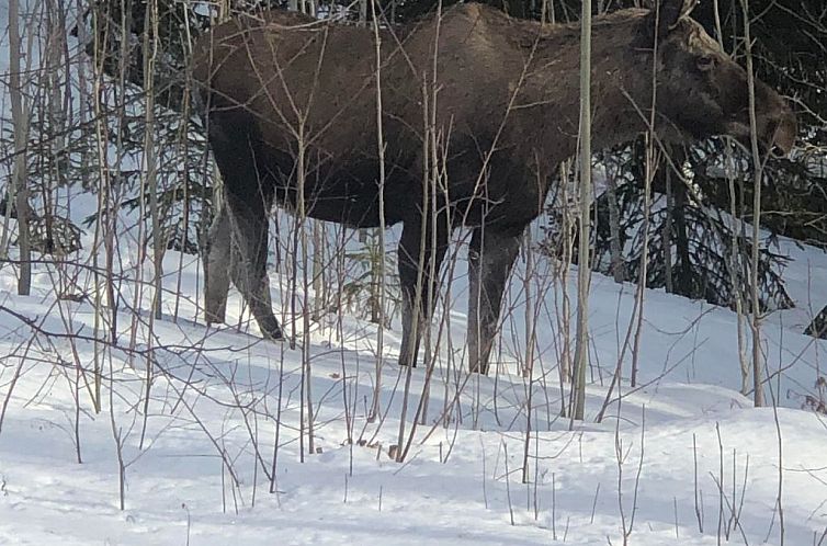 Vakantiehuis Ölrun Stuga