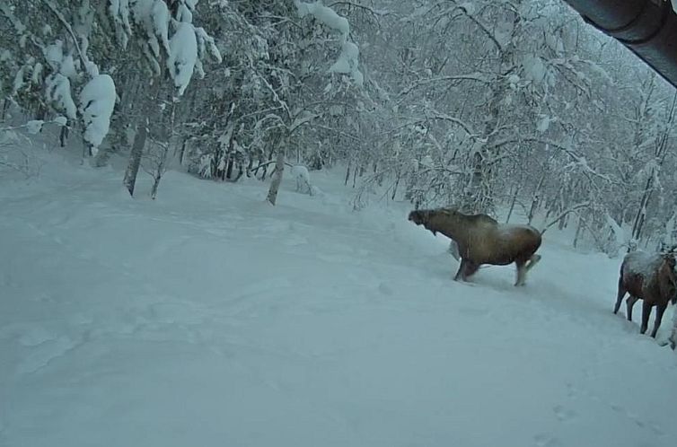 Vakantiehuis Zu vermieten in der Nähe von Jokkmokk