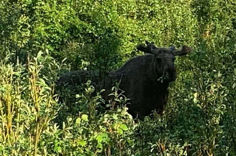 Vakantiehuis Zu vermieten in der Nähe von Jokkmokk