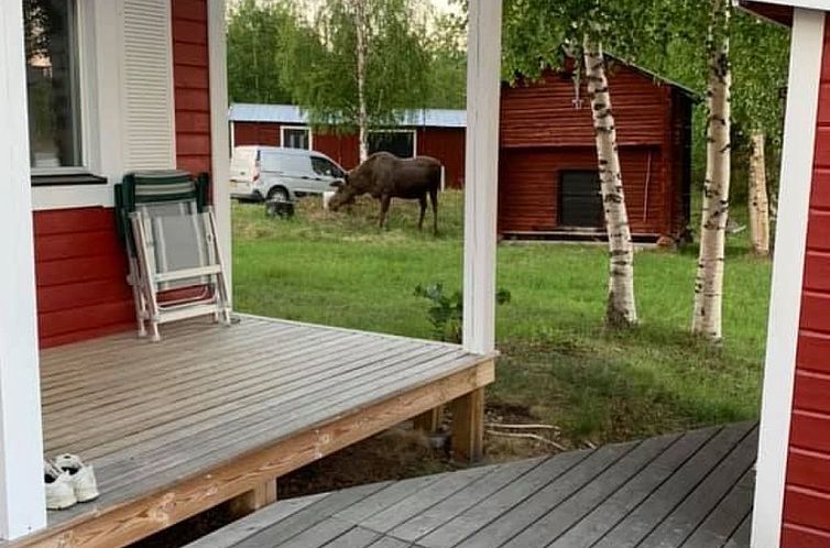 Vakantiehuis Zu vermieten in der Nähe von Jokkmokk