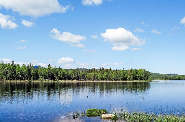 Vakantiehuis Kvisthån Tallen