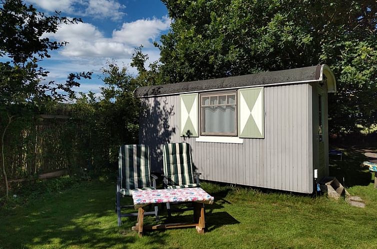 Vakantiehuisje in Orvelte, gezellige buitenruimte met ligstoelen in de natuur van Midden Drenthe.