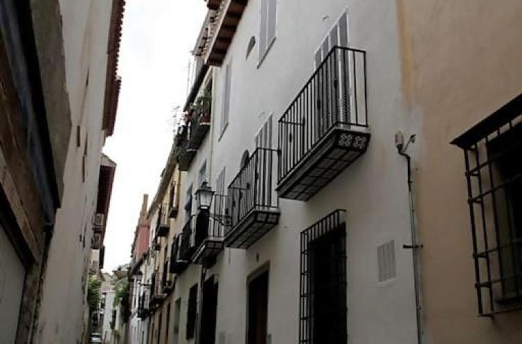 Las Golondrinas de la Alhambra