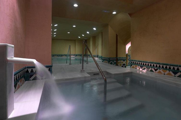 Hotel Macià Real De La Alhambra
