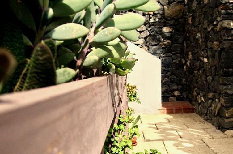 Apartamento Pardela