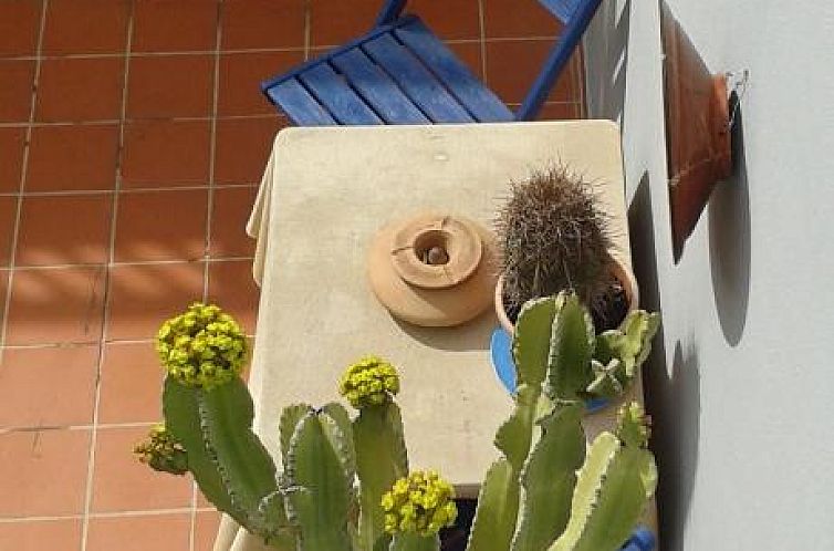 Apartamento Pardela
