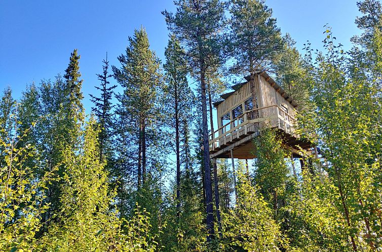 Appartement Aurora Lodge
