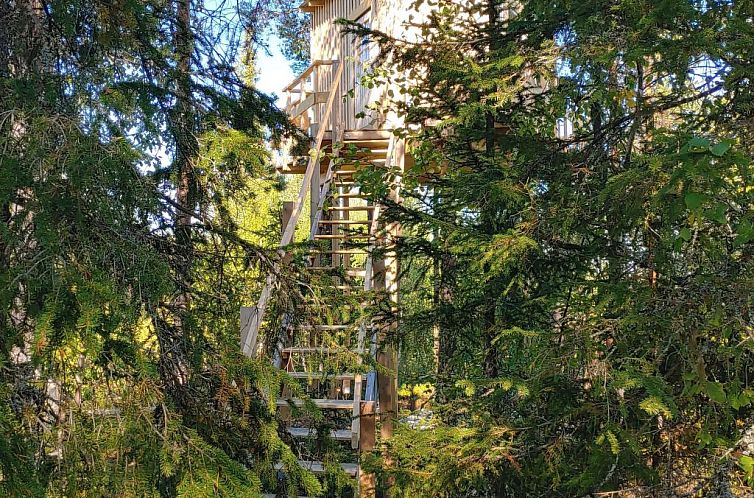 Appartement Aurora Lodge
