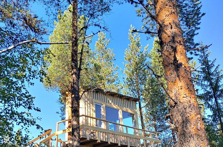 Appartement Aurora Lodge