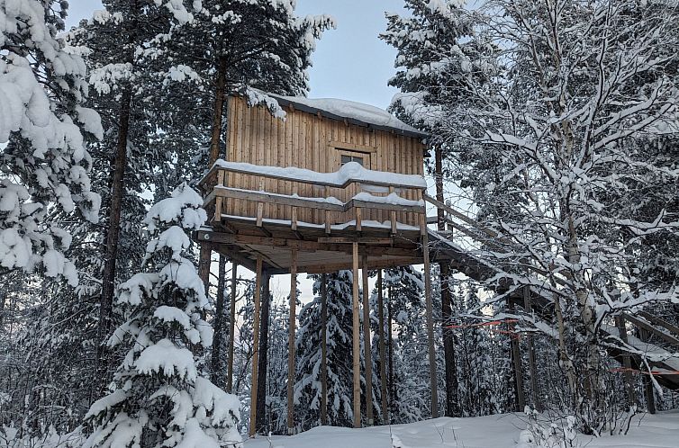 Appartement Aurora Lodge