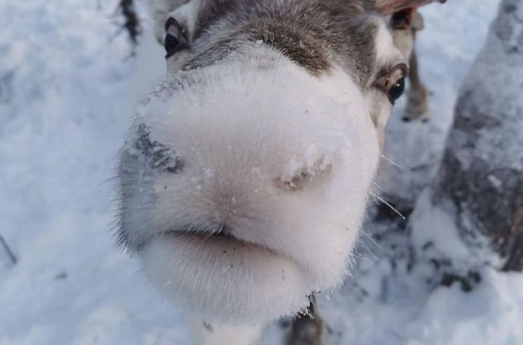 Vakantiehuis Villa Edda