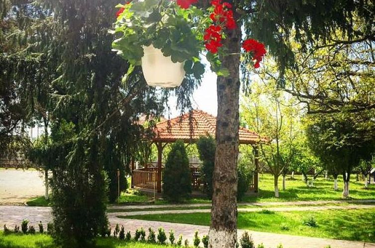 Casa Cu Nuc
