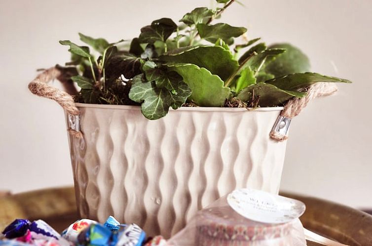 Vakantiehuis in Gasselte