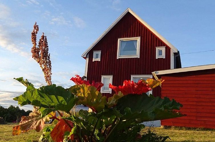 Vakantiehuis Willkommen im Stable House